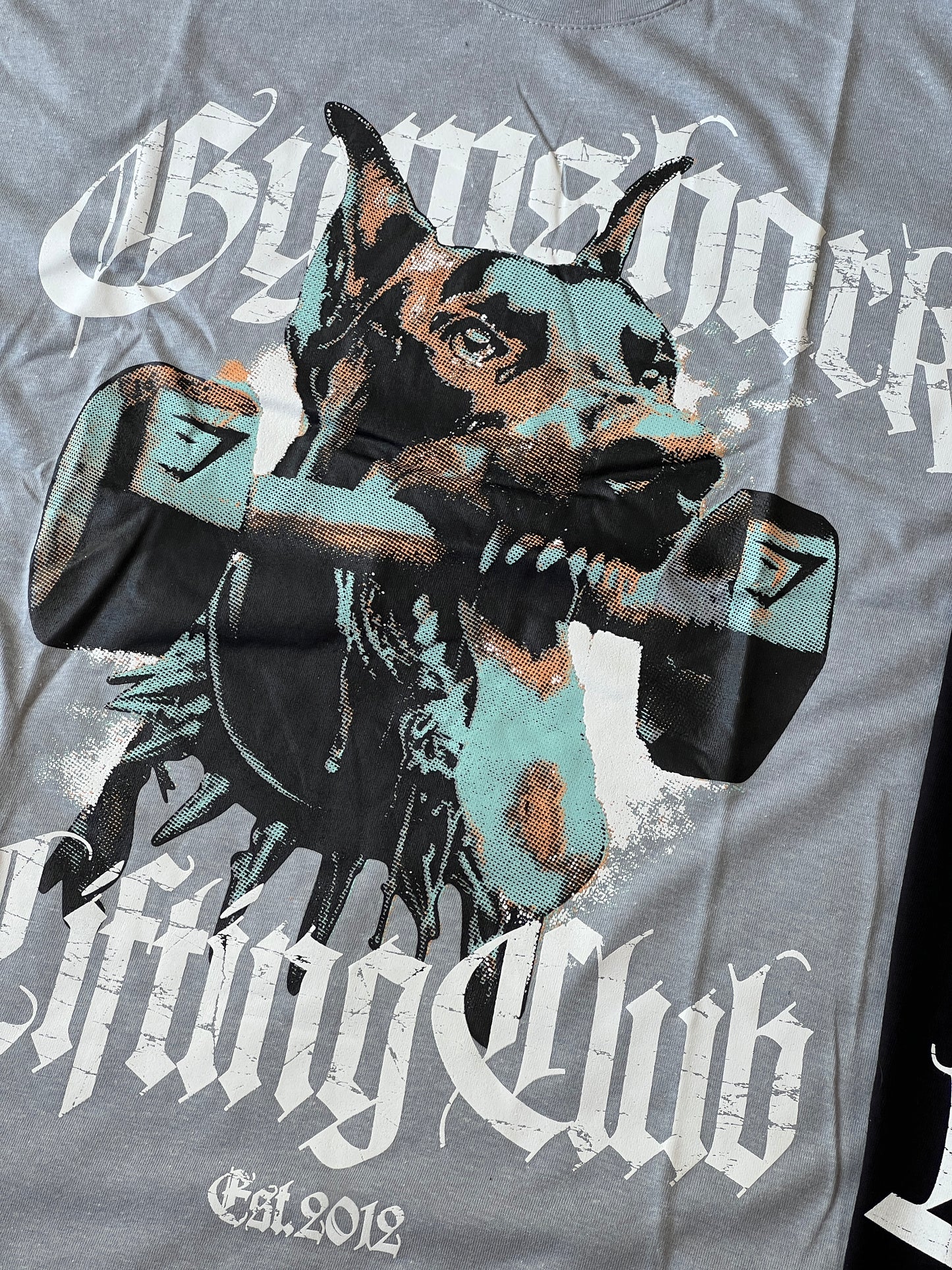Playera Oversized Dóberman Gymshark