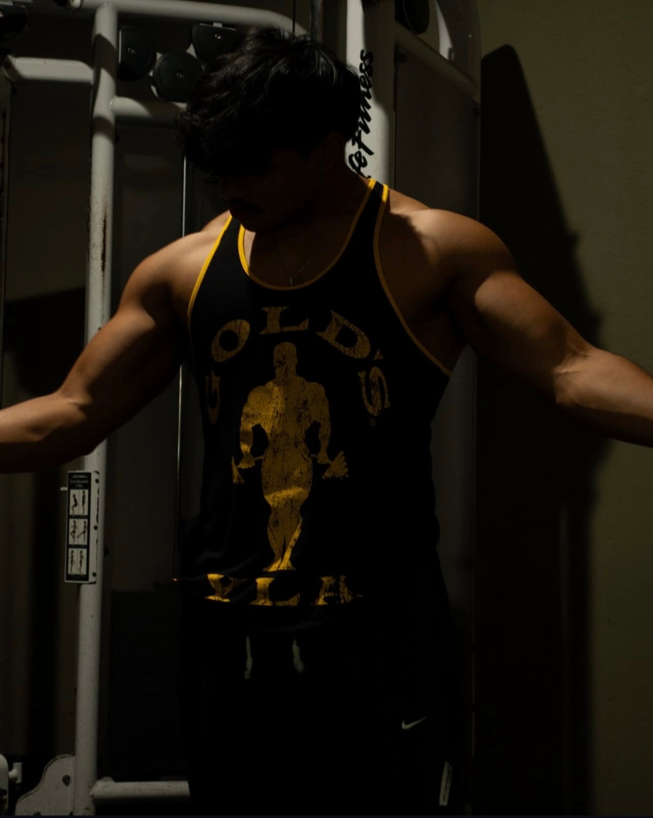 OLÍMPICA GOLDS GYM YLA